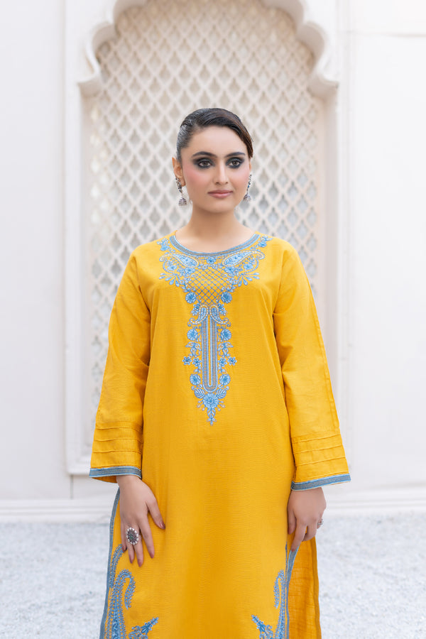 2PC Stitched | Embroidered Khaddar Suit