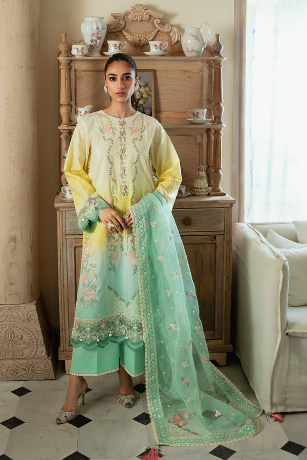 3PC Unstitched | Embroidered Lawn Suit | Organza Dupatta