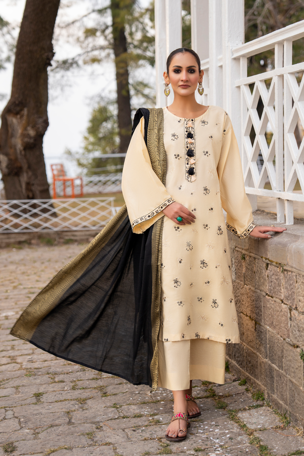 3PC Stitched | Emboridered Lawn Suit